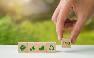 ESG – o que é e como implementar em sua franquia